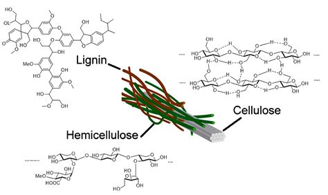  Celluloseacetathydrogen - En revolutionär polymer för avancerad medicinsk teknologi!